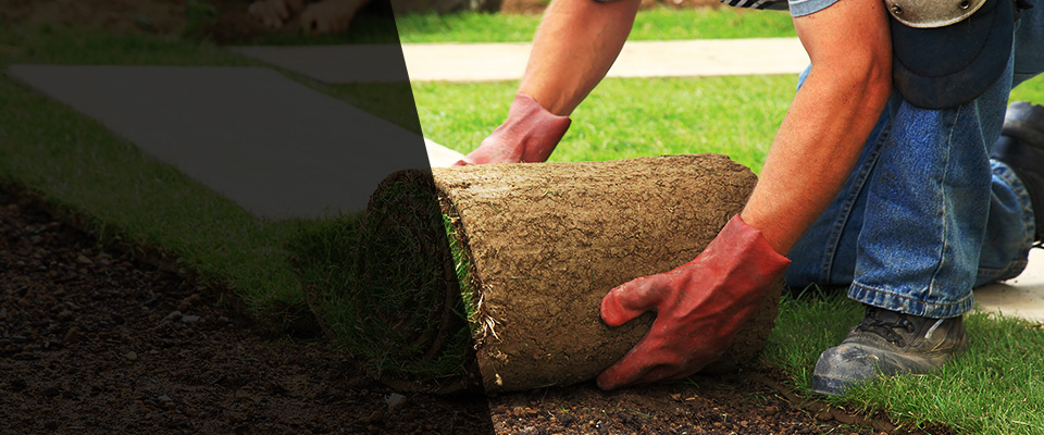 Planada Landscapers